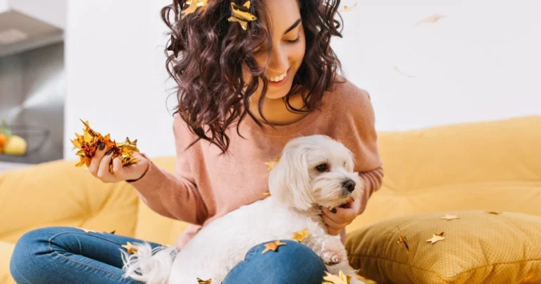 Health Problems in Labradoodles