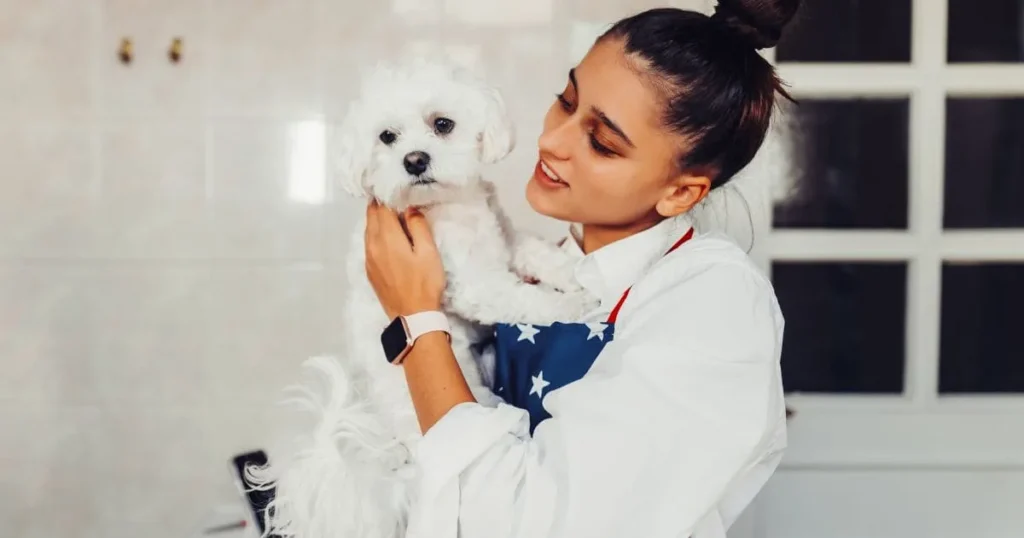 How to Use Dog Conditioner