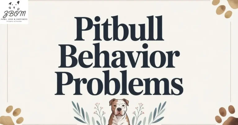 Pitbull Behavior Problems