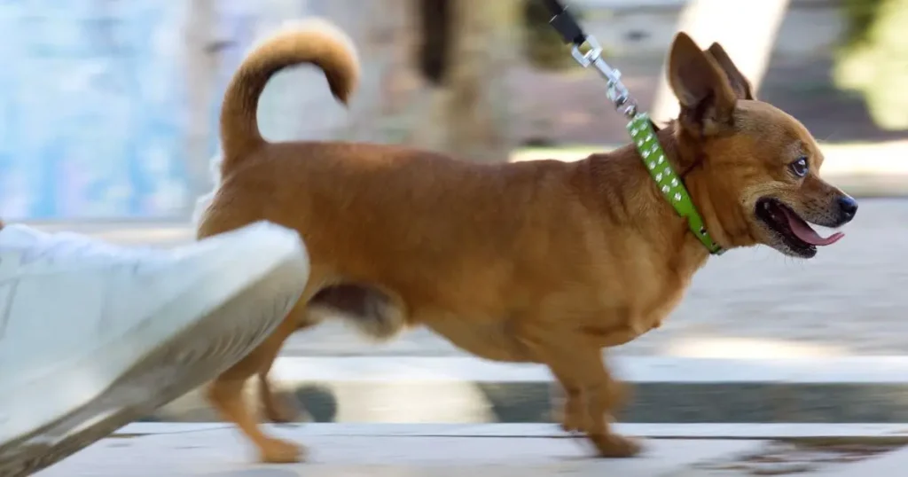 proper-knot-removal-technique-_1_ proper-knot-removal-technique