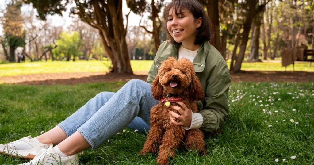 Protecting Your Labradoodle's Health