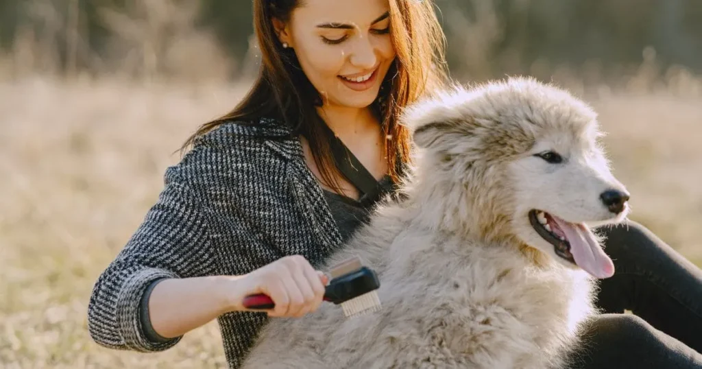 rubber-brush-for-gentle-grooming Rubber Brush for Gentle Grooming