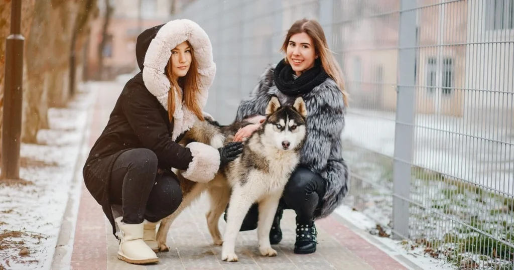 starting-a-dog-grooming-business-the-complete-guide Starting a Dog Grooming Business: The Complete Guide