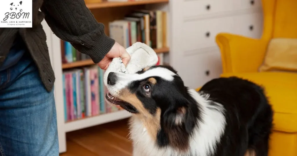 storage-instructions-freeze-dog-treats-_1_ Storage Instructions: Freeze Dog Treats