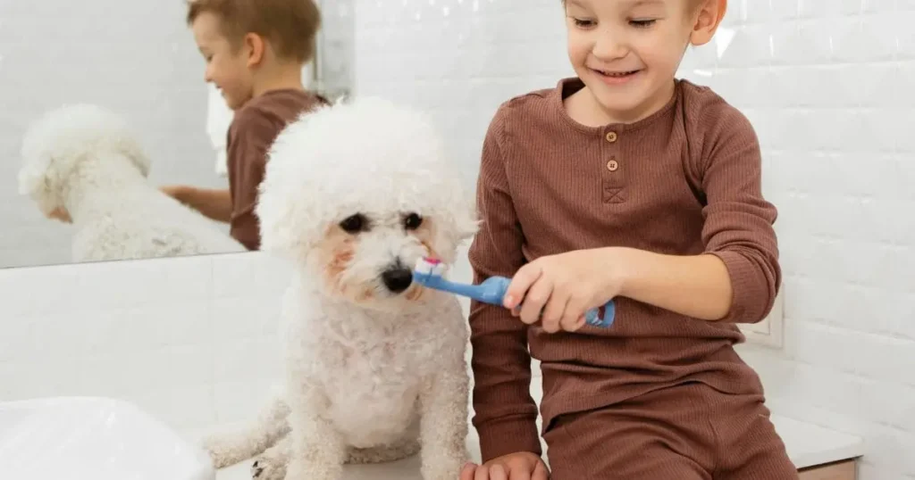 the-importance-of-regular-brushing-_1_ The Importance of Regular Brushing