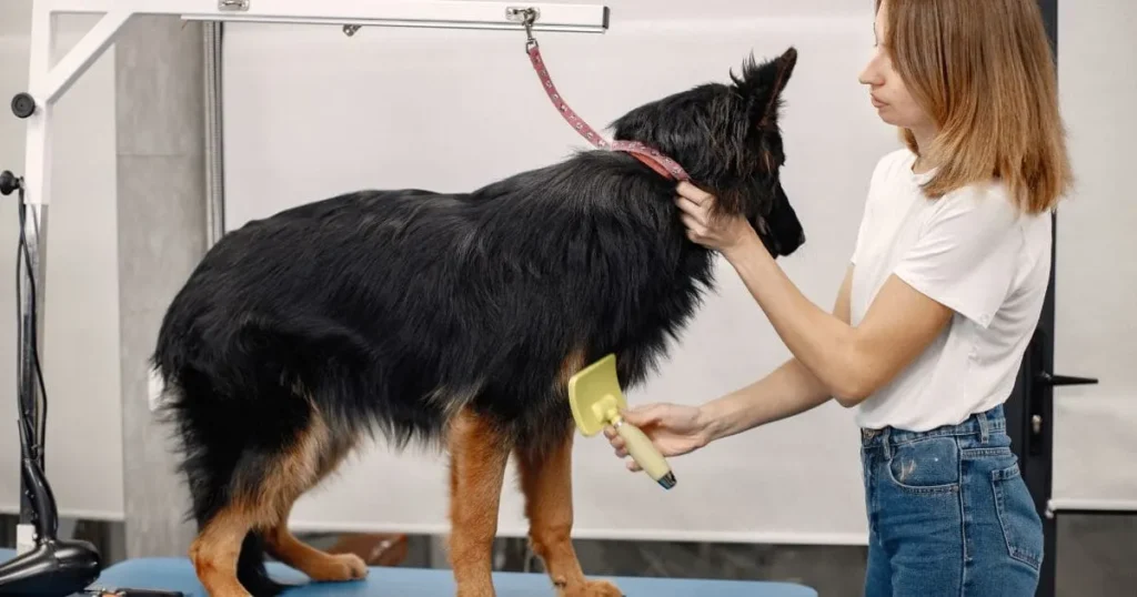 undercoat-rake-for-deep-cleaning undercoat rake for deep cleaning