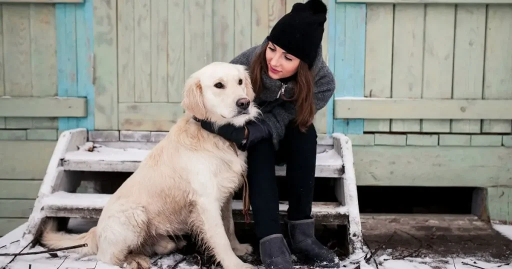 understanding-golden-retriever-coats-_1_ Understanding Golden Retriever Coats