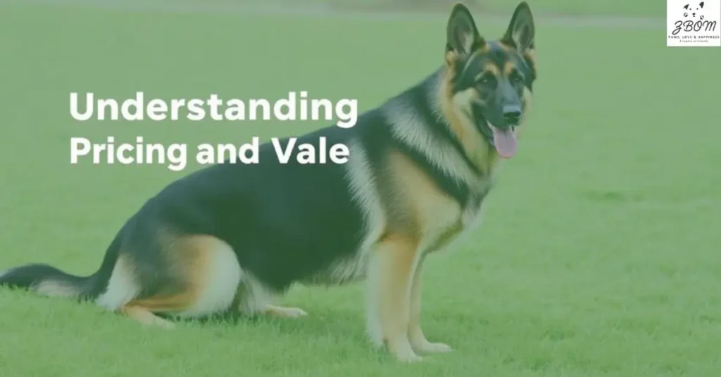 Understanding Pricing and Value