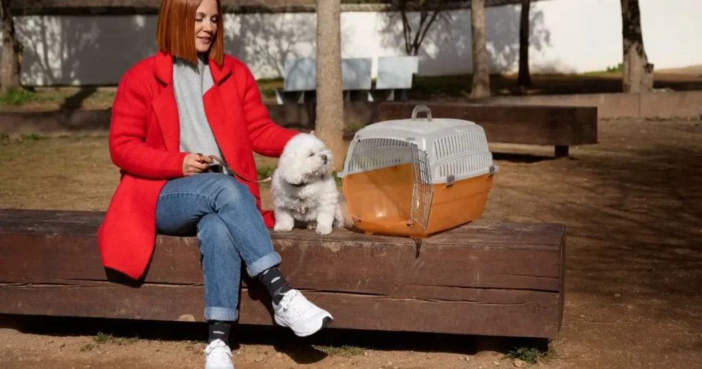 Why Dogs Shed in the Winter