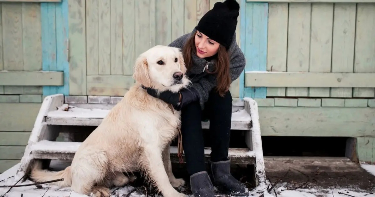 Why Is My Husky Shedding In Winter