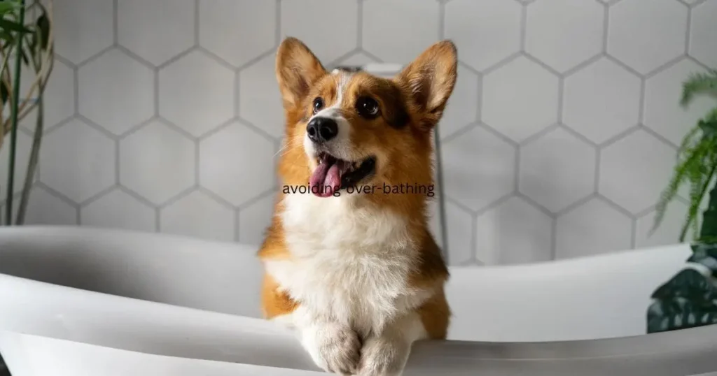 The Top Coat and Body Appearance The Top Coat and Body Appearance