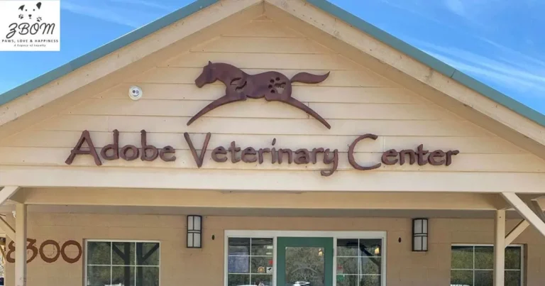 Adobe Yucaipa Vet