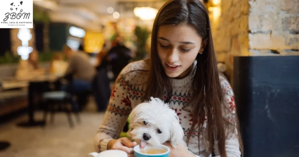 Age of the Dogs Age of the Dogs