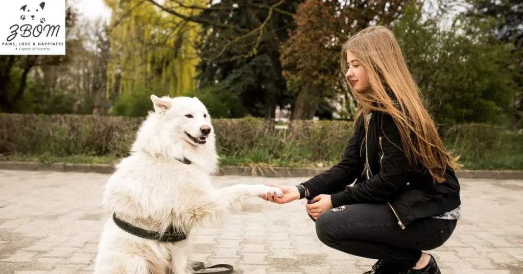 Basic Obedience Training