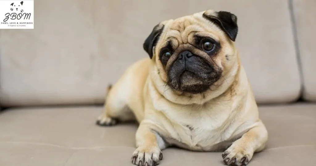 Beyond the Purchase Price First-Year Expenses