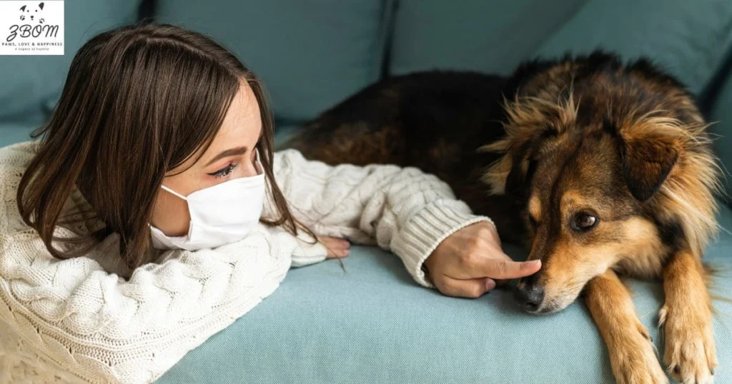 Can Dogs Get Other Dogs Sick