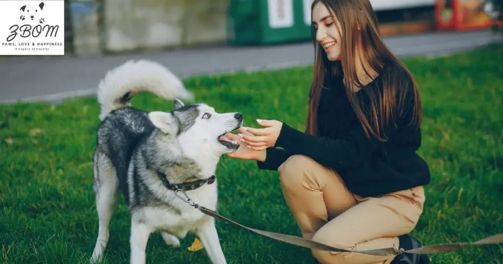 Considering an Older Puppy or Young Adult