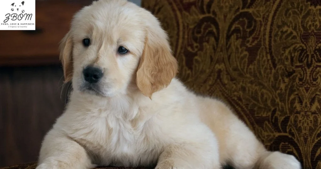 Health Considerations During Training