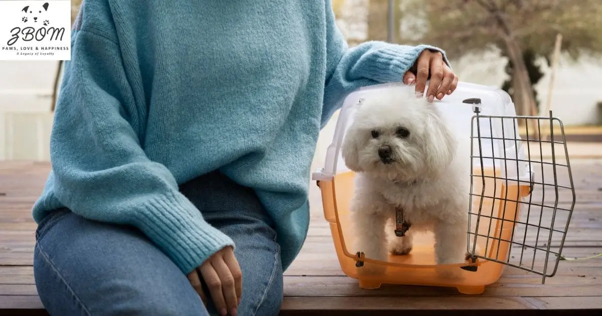How to Choose the Perfect Maltipoo for Sale in Seattle