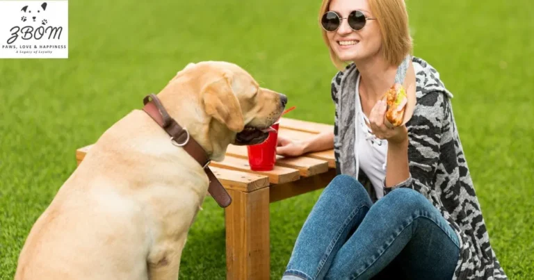 How to Choose the Perfect Teacup Puppy in Montreal