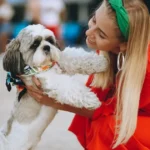 How to Find the Best Rolly Pups prezzo Prices