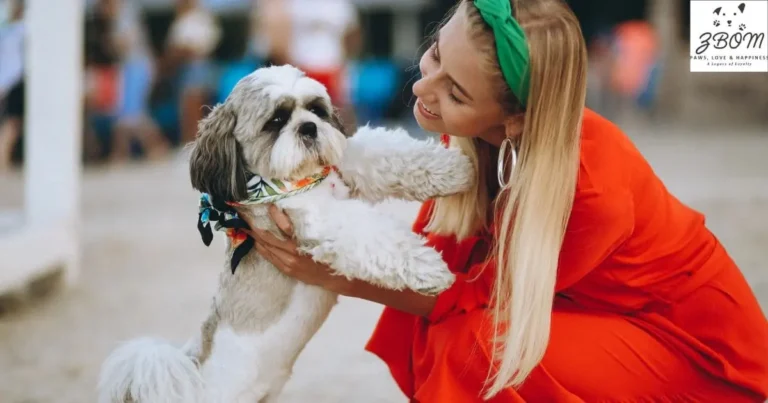 How to Find the Best Rolly Pups prezzo Prices