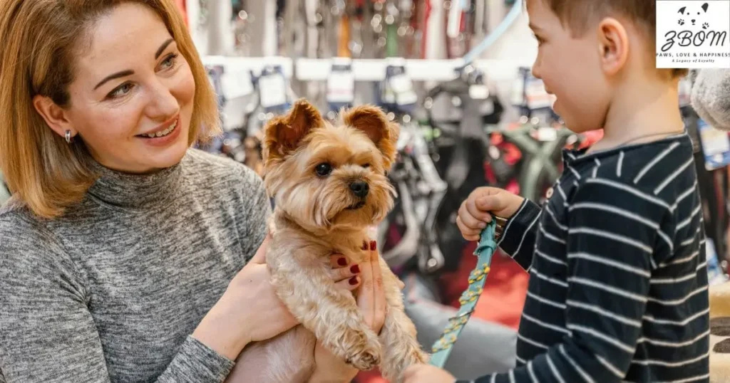 How to Find the Best Rolly Pups prezzo Prices