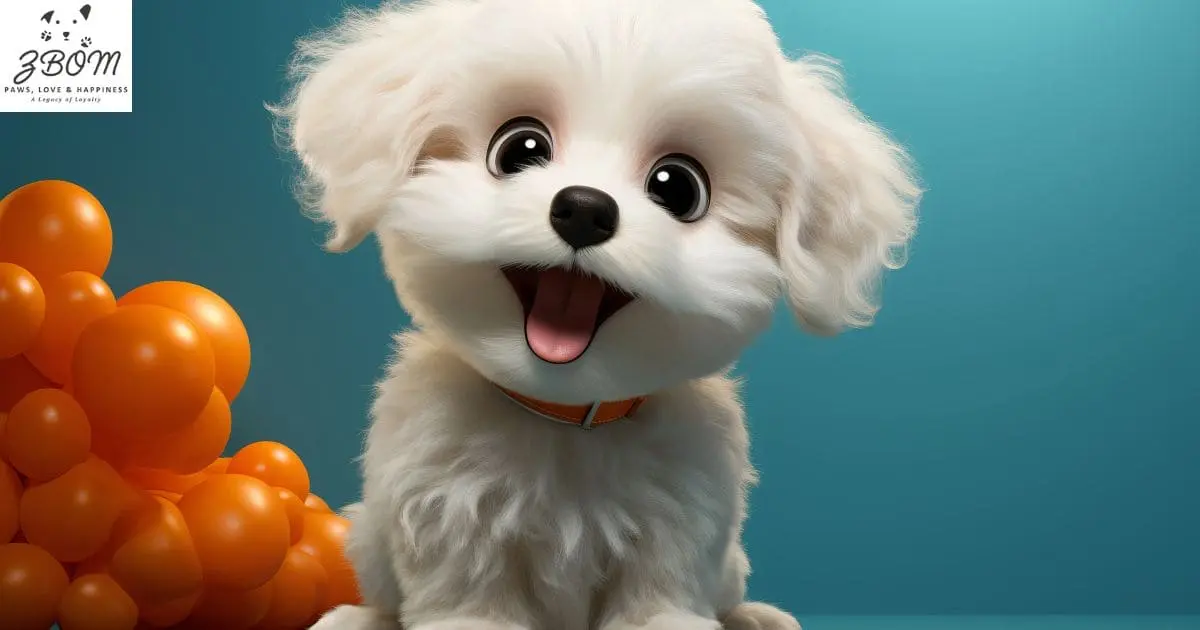 How to Train Your T-Cup Puppy