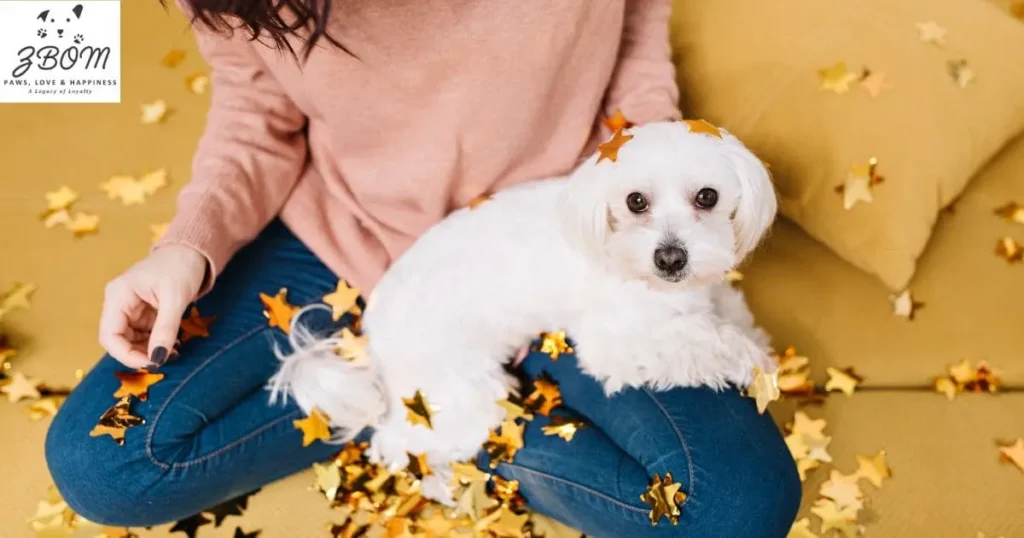 Identifying Reputable Maltipoo Breeders