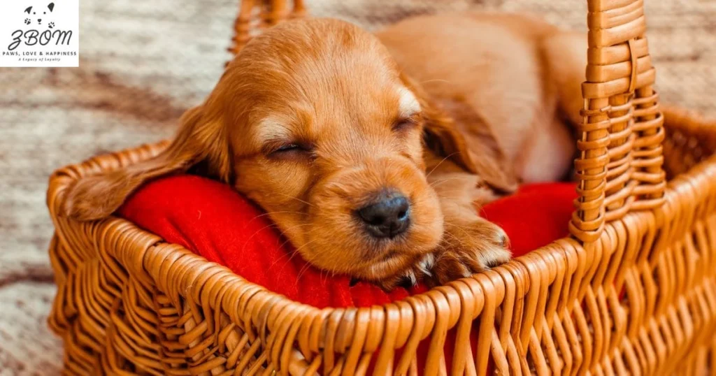 Managing Common Training Challenges