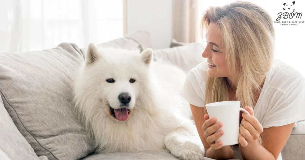 Preparing Your LA Home