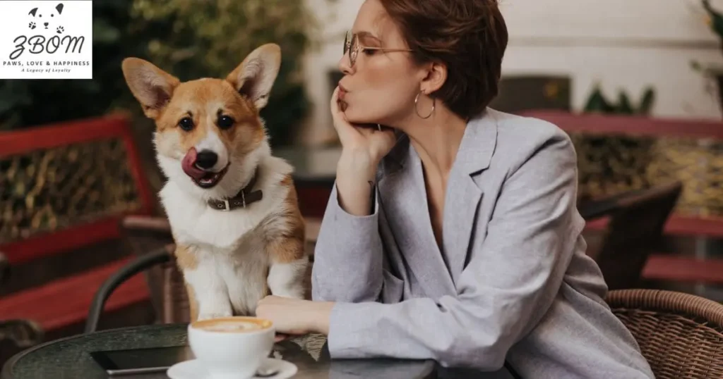 Preparing for the Financial Investment