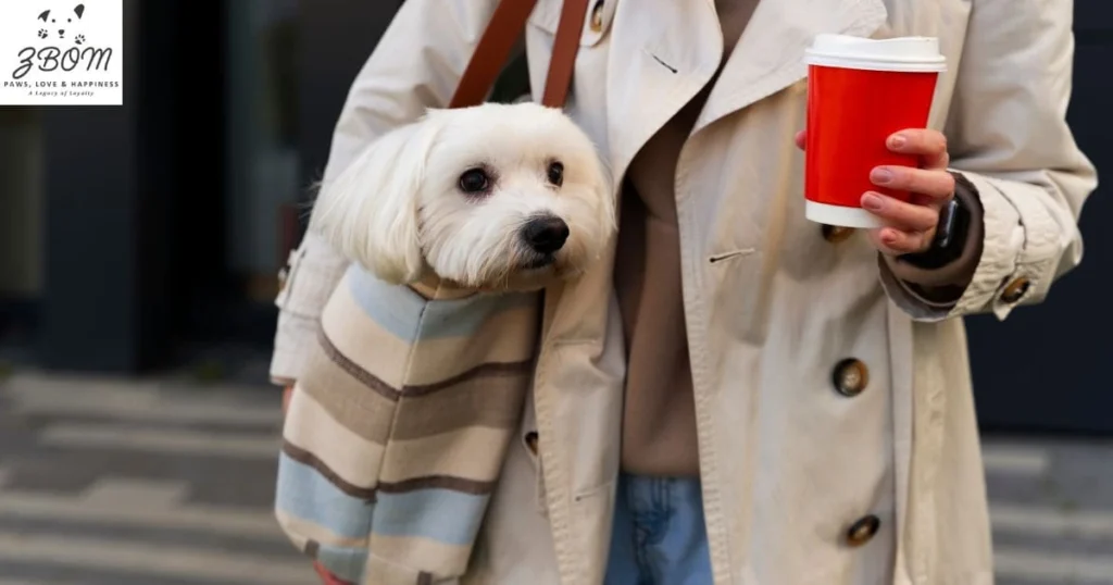 Purchase a Puppy in a Less Demanding Season Purchase a Puppy in a Less Demanding Season