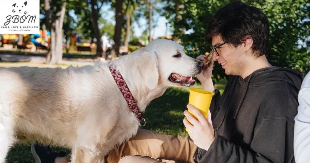 Questions to Ask the Breeder