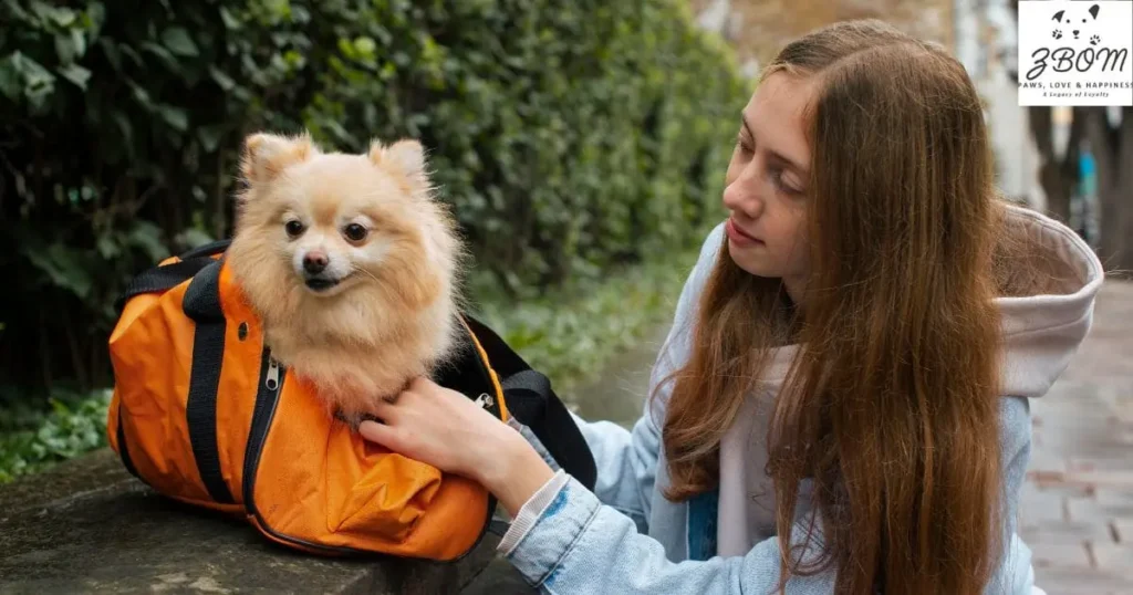 Recognizing Counterfeits and Low-Quality Imitations