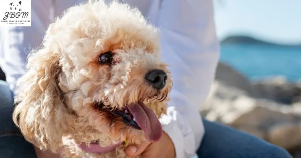 Red Flags to Watch For