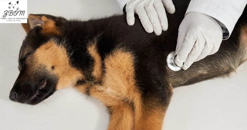 Serving Yucaipa and Surrounding Communities