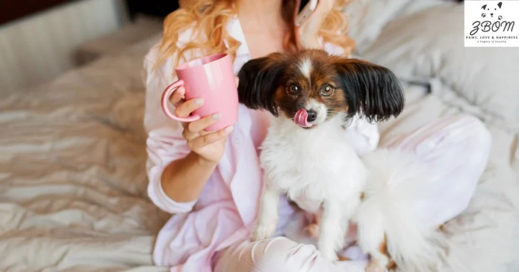 The Los Angeles Teacup Maltese Market