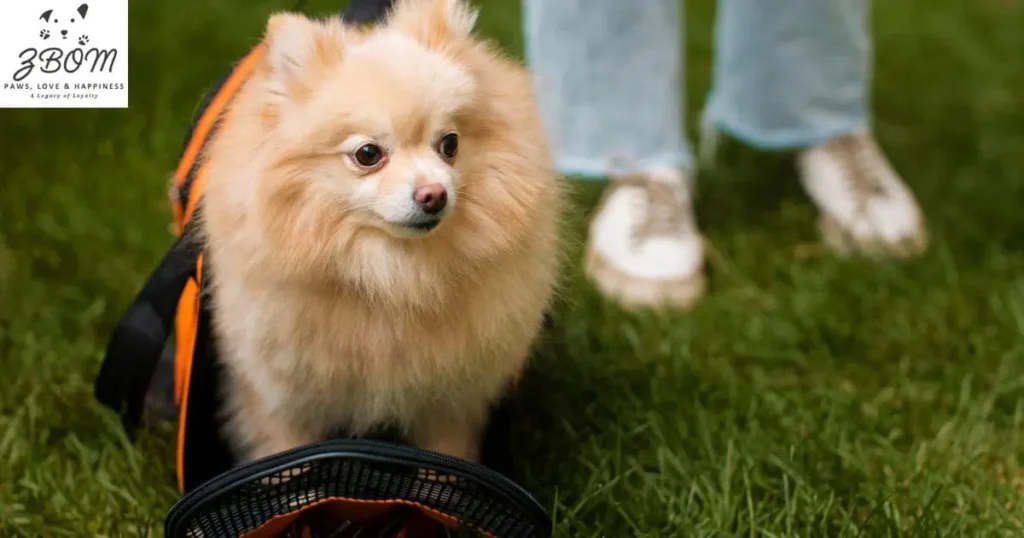 Training Through Life Stages