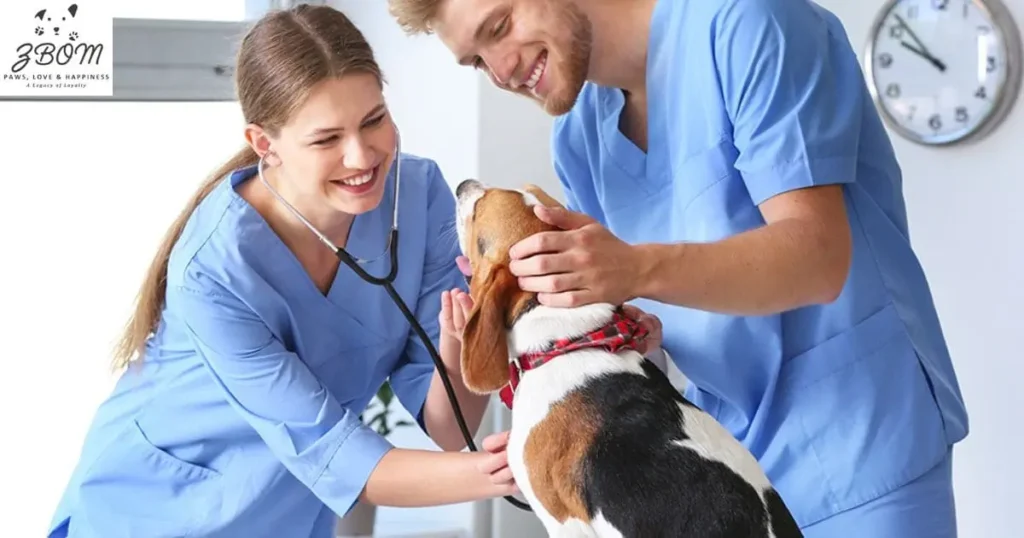 Why Choose Adobe Veterinary Clinic