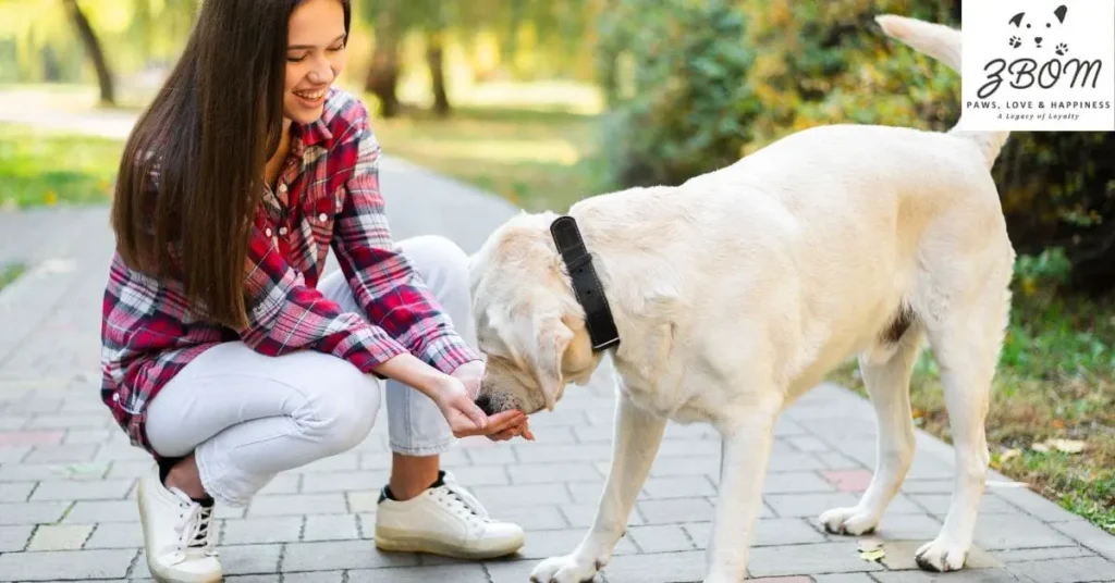 Activity Levels and Exercise Requirements