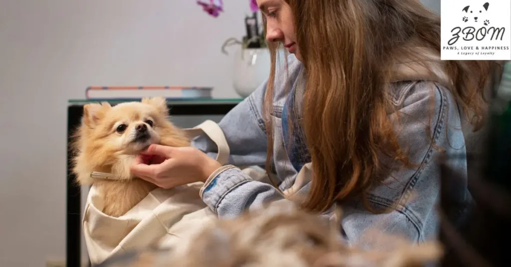 discovering your perfect tiny companion