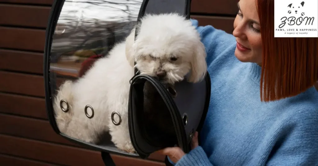 Common Grooming Challenges