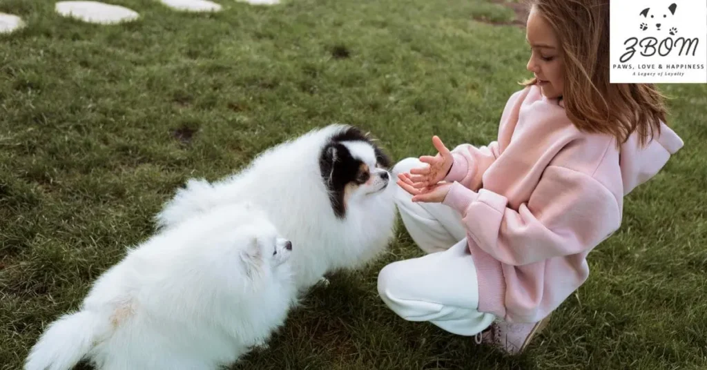 Essential Training Tips for Your Teacup Yorkie Puppy