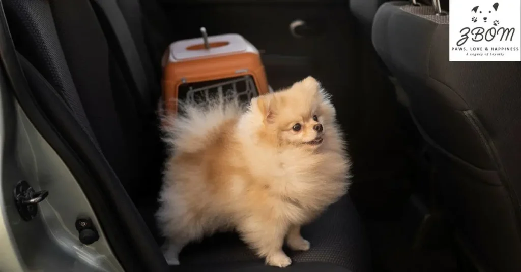 furniture and equipment costs