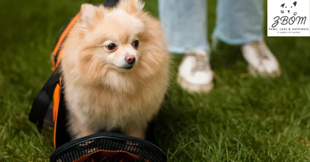 geographic location impact