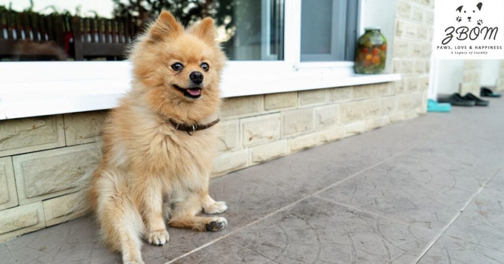 going the extra mile for excellence