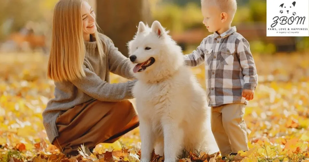 how do pomeranians interact with other dogs