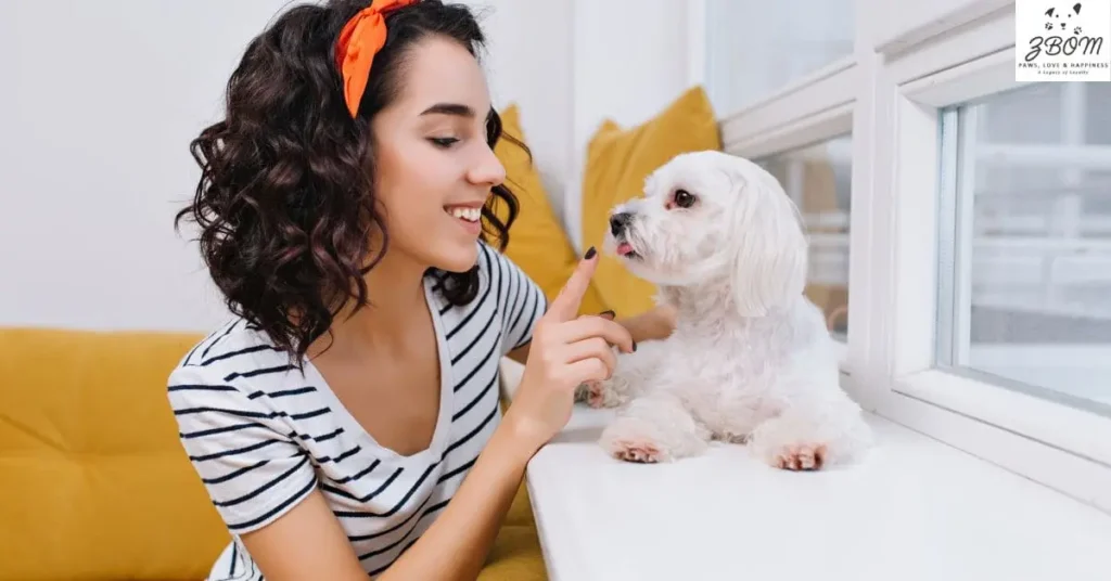 Maintaining Your Poodle's Fitness