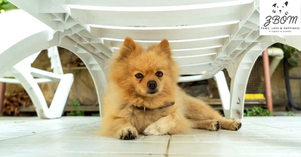 Other Health Concerns